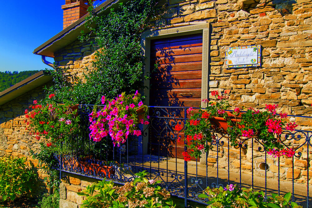 Michelangelo Suite - In flower